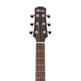 Đàn Guitar Acoustic Ibanez AAD140 Open Pore Natural