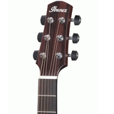 Đàn Guitar Acoustic Ibanez AAD170CE Natural Low Gloss