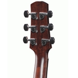 Đàn Guitar Acoustic Ibanez AAD170CE Natural Low Gloss