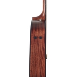 Đàn Guitar Acoustic Ibanez AAD300CE Natural Low Gloss