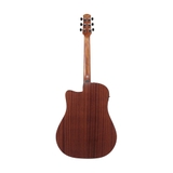 Đàn Guitar Acoustic Ibanez AAD50CE