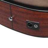 Đàn Guitar Acoustic Ibanez AAD50CE