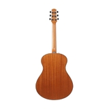 Đàn Guitar Acoustic Ibanez AAM50 Open Pore Natural
