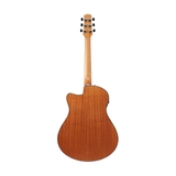 Đàn Guitar Acoustic Ibanez AAM50CE