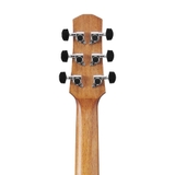 Đàn Guitar Acoustic Ibanez AAM54 Open Pore Natural