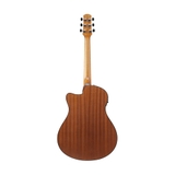 Đàn Guitar Acoustic Ibanez AAM54CE Open Pore Natural