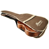 Đàn Guitar Acoustic Ibanez AE245JR Open Pore Natural