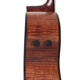 Đàn Guitar Acoustic Ibanez AE325 Natural Low Gloss