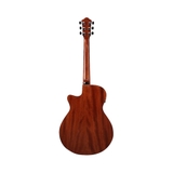 Đàn Guitar Acoustic Ibanez AEG220, Natural Low Gloss