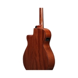 Đàn Guitar Acoustic Ibanez AEG220, Natural Low Gloss