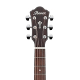 Đàn Guitar Acoustic Ibanez AEG220, Natural Low Gloss