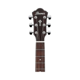 Đàn Guitar Acoustic Ibanez AEG220, Natural Low Gloss
