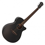 Đàn Guitar Acoustic Ibanez AEG50