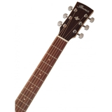 Đàn Guitar Acoustic Ibanez AW417CE Open Pore Semi-Gloss
