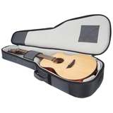 Đàn Guitar Acoustic Ibanez PA230E Natural Satin Top, Natural Low Gloss Back and Sides