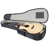Đàn Guitar Acoustic Ibanez PA300E Natural Satin Top, Natural Low Gloss Back and Sides