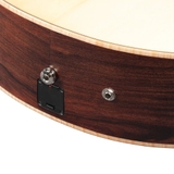 Đàn Guitar Acoustic Ibanez PA300E Natural Satin Top, Natural Low Gloss Back and Sides