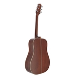 Đàn Guitar Acoustic Takamine GD20