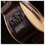 Đàn Guitar Acoustic Takamine P5DC