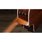 Đàn Guitar Acoustic Taylor 214CE DLX - Grand Auditorium