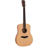 Đàn Guitar Acoustic Taylor A10 - Dreadnought