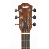 Đàn Guitar Acoustic Taylor GS Mini-E Walnut