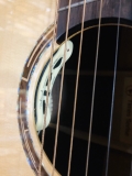 Guitar Dadarwood DW-3900C