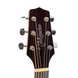 Đàn Guitar Acoustic Takamine GD30 Natural