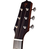 Đàn Guitar Acoustic Takamine EF340S-TT