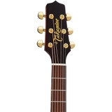 Đàn Guitar Acoustic Takamine P5JC
