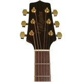 Đàn Guitar Acoustic Takamine GN51 Natural