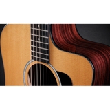 Đàn Guitar Acoustic Taylor 210CE Plus - Dreadnought
