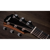 Đàn Guitar Acoustic Taylor 214CE-K - Grand Auditorium