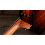 Đàn Guitar Acoustic Taylor 214CE-K SB Plus - Grand Auditorium