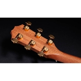 Đàn Guitar Acoustic Taylor 217E-SB Plus LTD - Grand Pacific