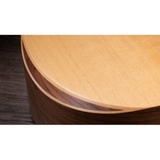 Đàn Guitar Acoustic Taylor A10E - Dreadnought