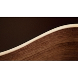 Đàn Guitar Acoustic Taylor AD17E-SB - Grand Pacific