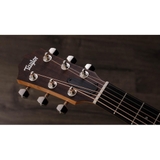 Đàn Guitar Acoustic Taylor GS Mini-E Rosewood Plus