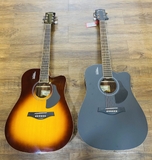 Guitar Rosen G11