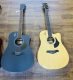 Guitar Rosen G11