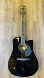 Guitar Rosen G11