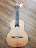 Guitar Fender Classic ESC-105 NS