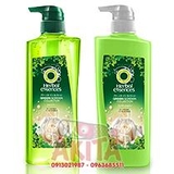 Bộ gội xả Herbal Essence-Green Garden