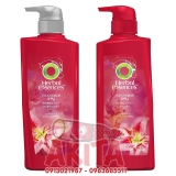 Bộ gội xả Herbal Essence-Touchable Airy