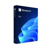 Phần mềm Microsoft Windows Pro 11 64Bit USB FPP/HAV-00163