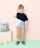 Áo cotton xước phối màu bé trai Andi. HA4554