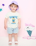 Bộ cotton gấu Conte bé trai bé gái MM. HA2015