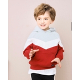 Áo hoodie nỉ lót lông bé trai Andi. HA1806 (2 màu)