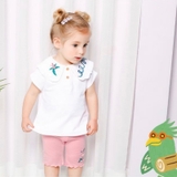 Áo bé gái cổ thủy thủ bèo in hình chim MM. HA1067 (2 màu)