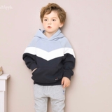 Áo hoodie nỉ lót lông bé trai Andi. HA1806 (2 màu)